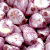 Luster Coating